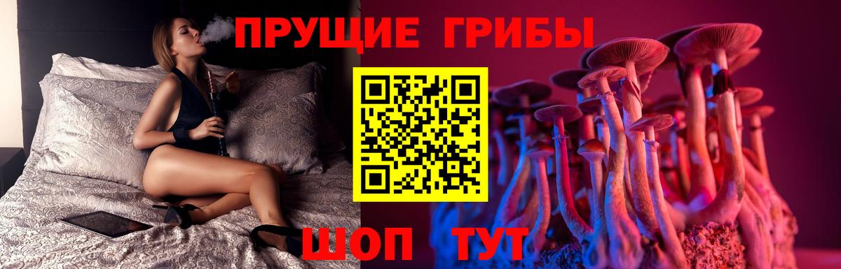 наркотики  Псилоцибиновые грибы Psilocybe  Вход с VPN  Вольск 